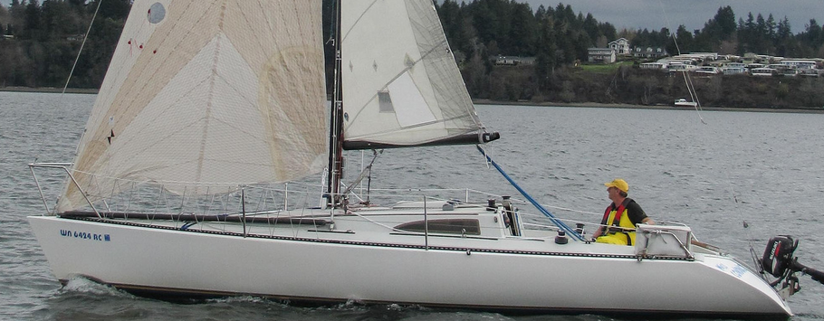David Reams sails an Olson 29 and recently commissioned a Pelagic Autopilot as seen here.